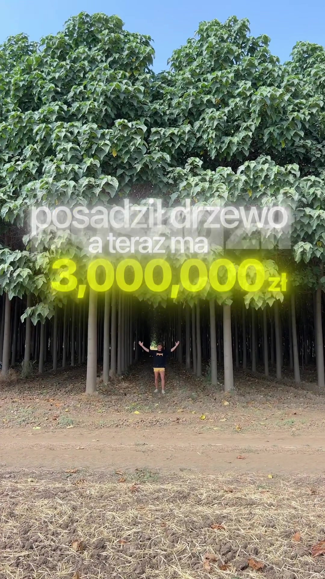 @greenlungspoland