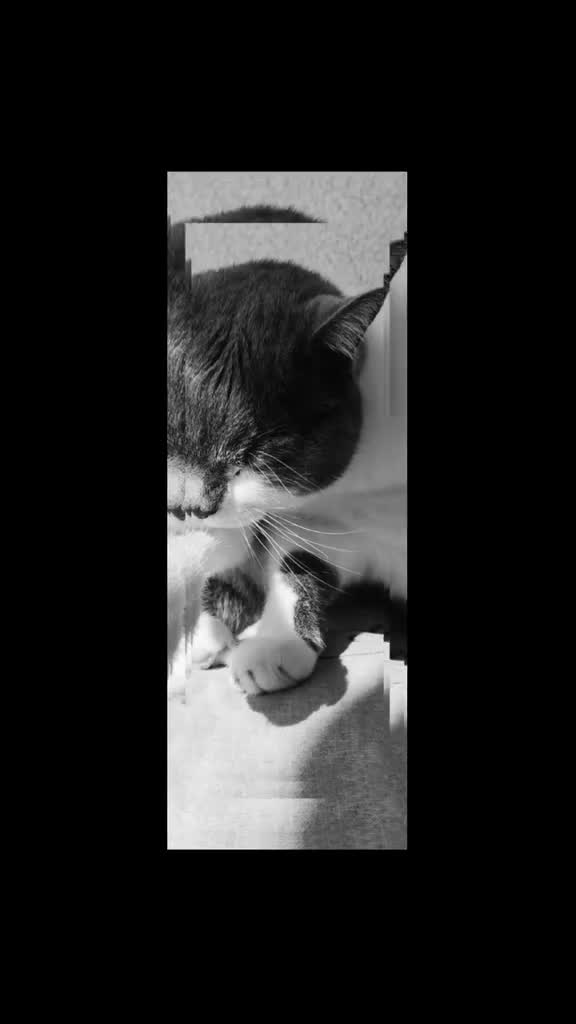 @𝐒𝔸𝓜тᑭᶠ&ouml;тᑕｈⒺή