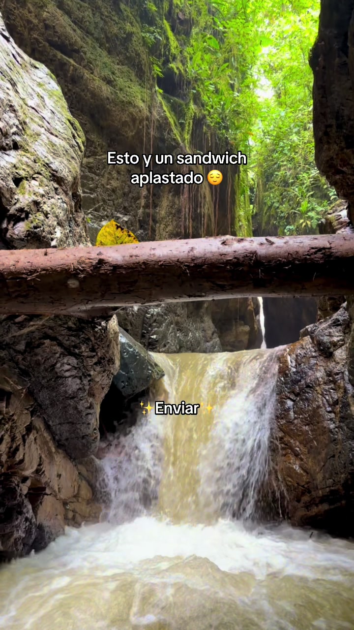 @Roselen