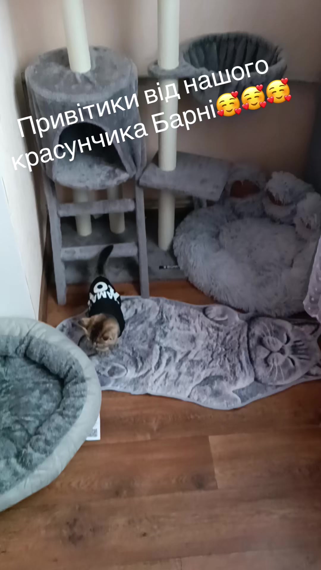 @Джессі-Річчі