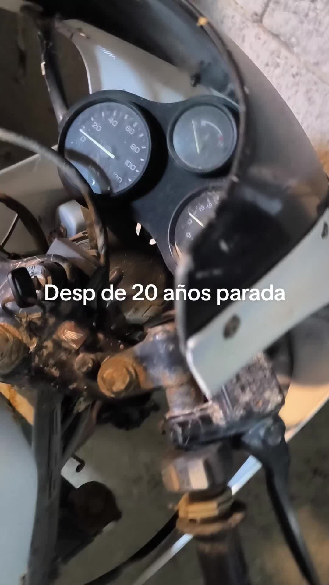 @sanguinosport21