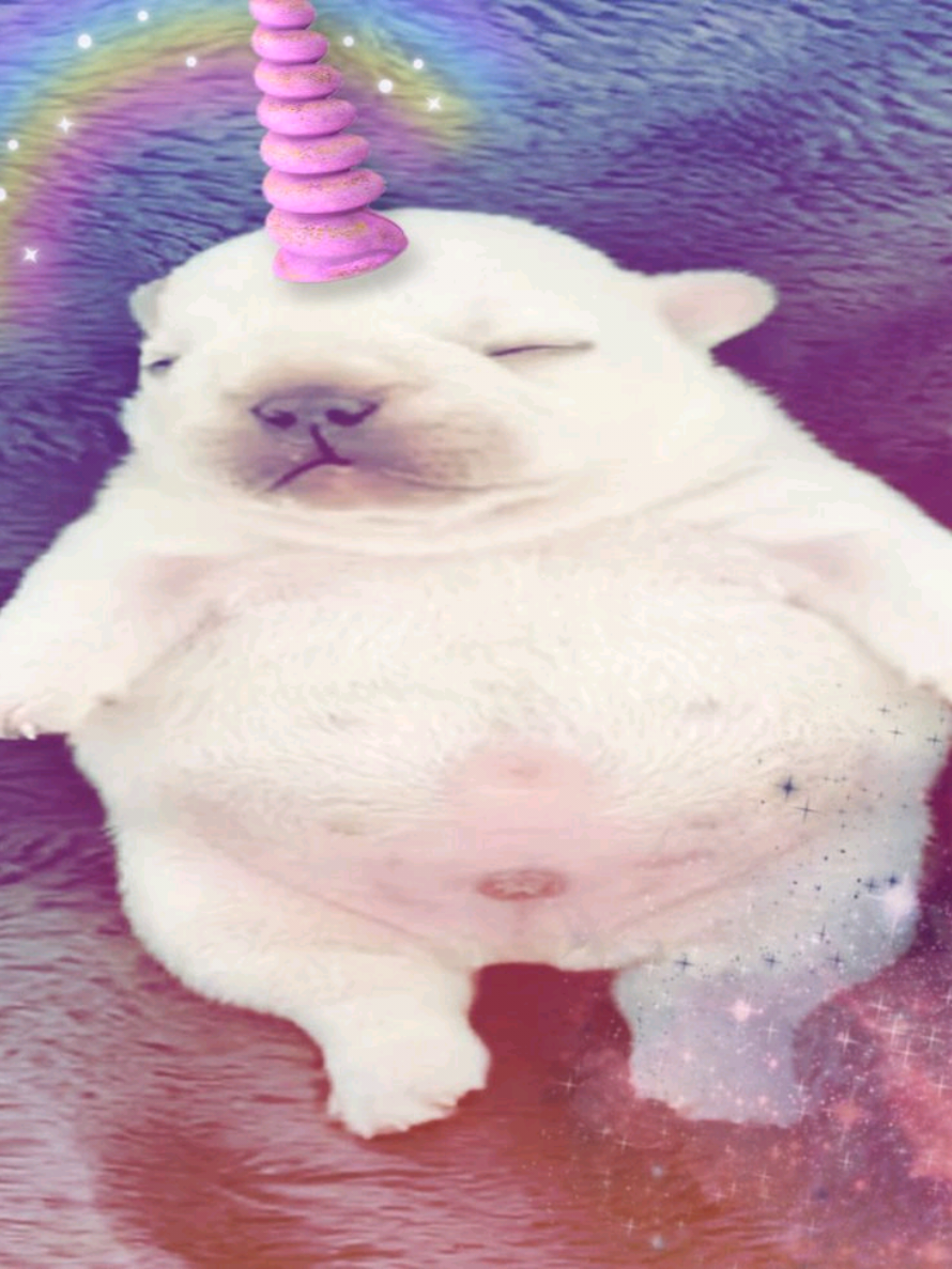 @๐
๐๐จ๐ฉ๐ฑ๐ณ