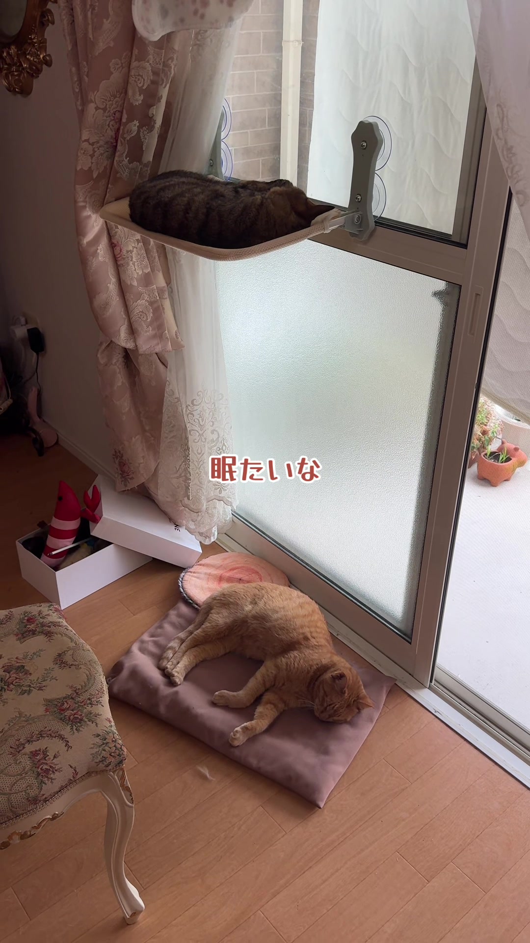 @さっことおちょ