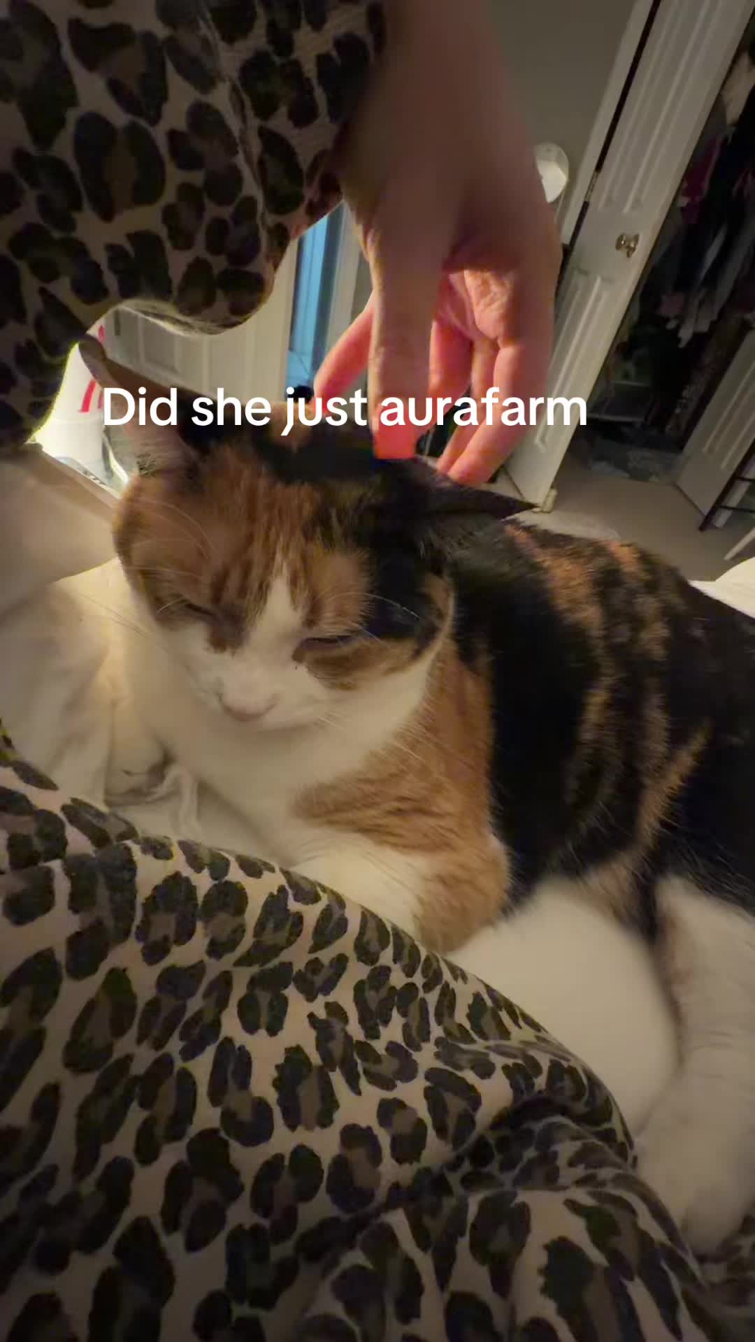 @halliesundae