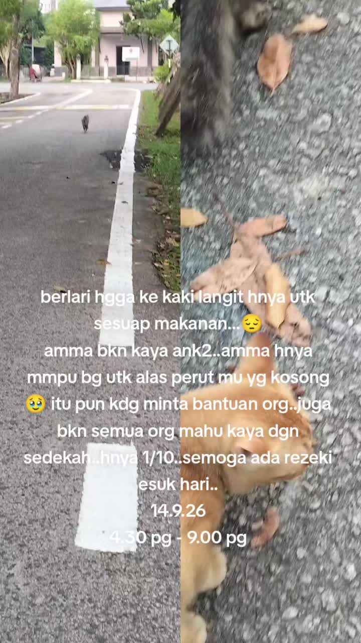 @MaderCats