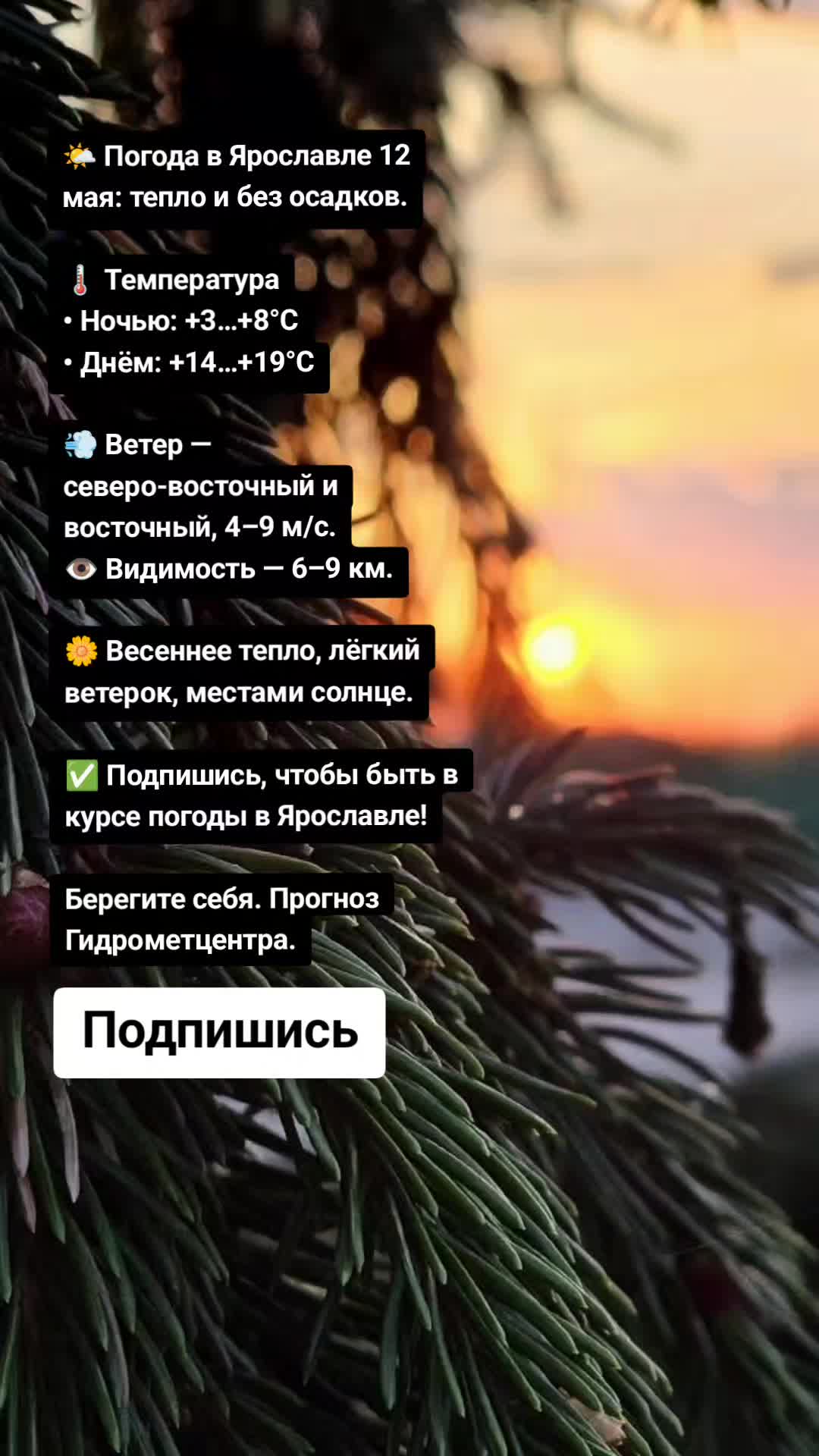 @Ярославские Новости