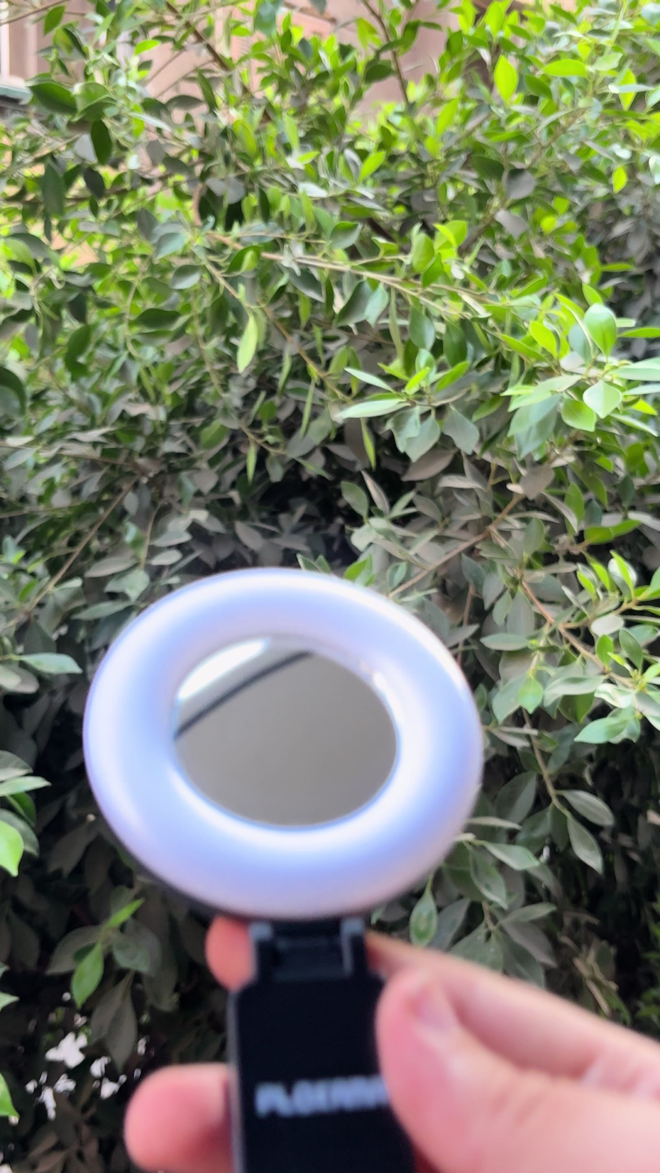 @Panda_store202
