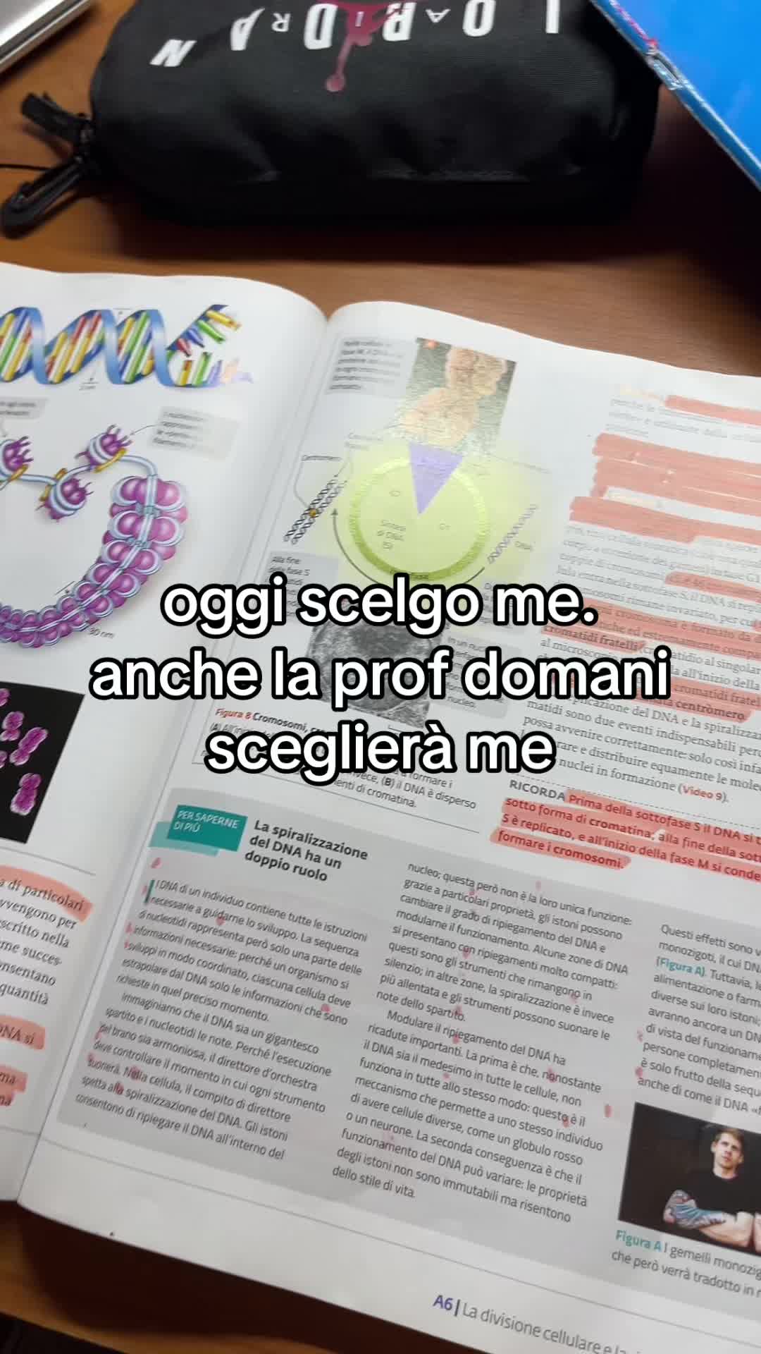@loree
