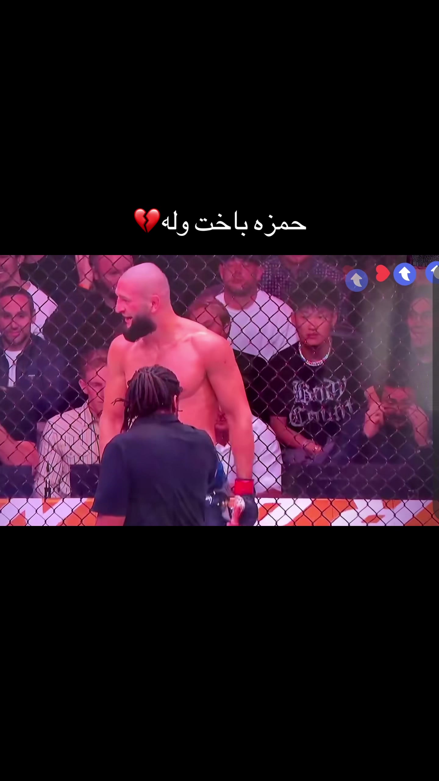@Ramin kohestani🦅🦁