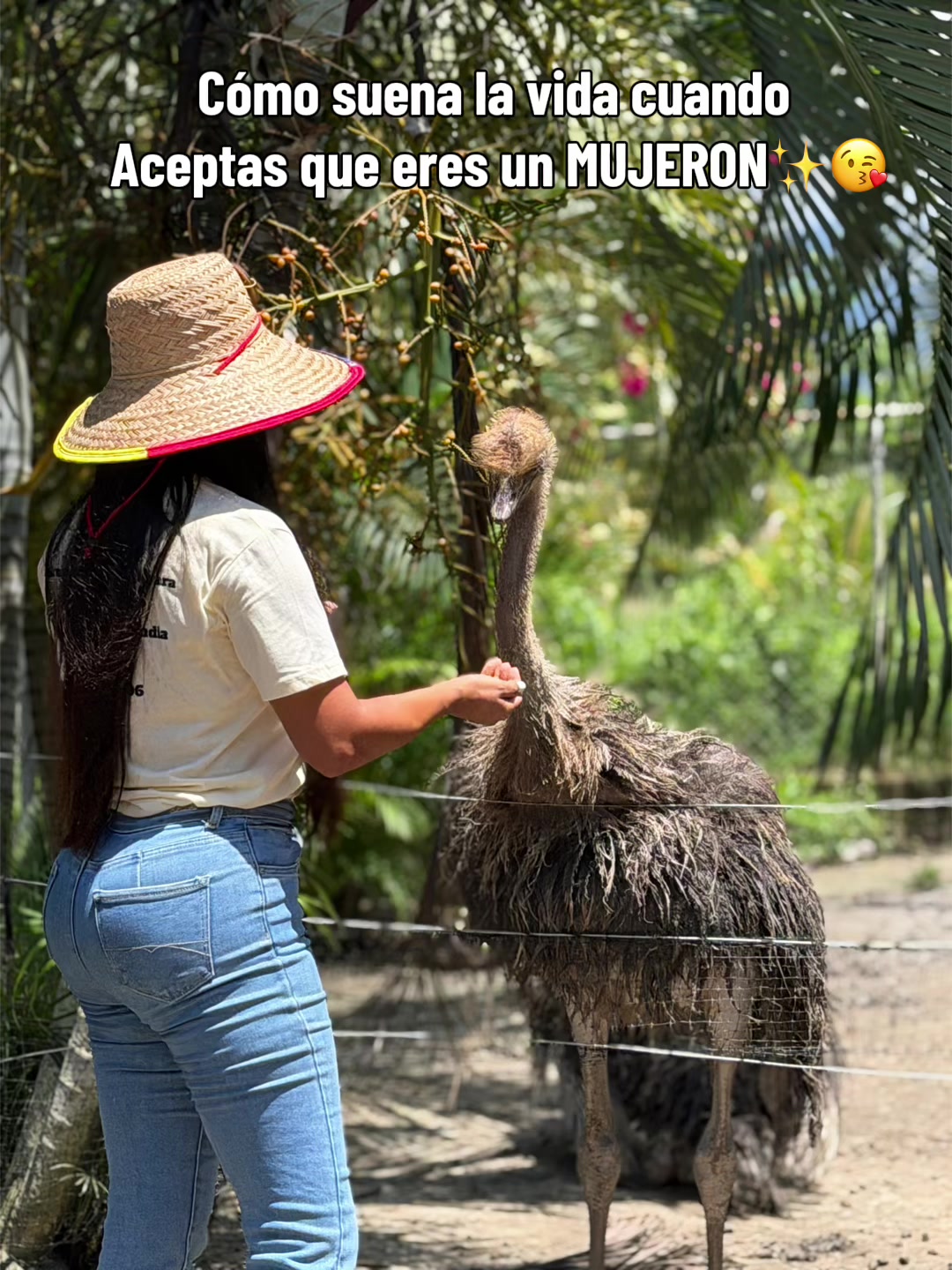 @Granjamascotalandiayaracuy