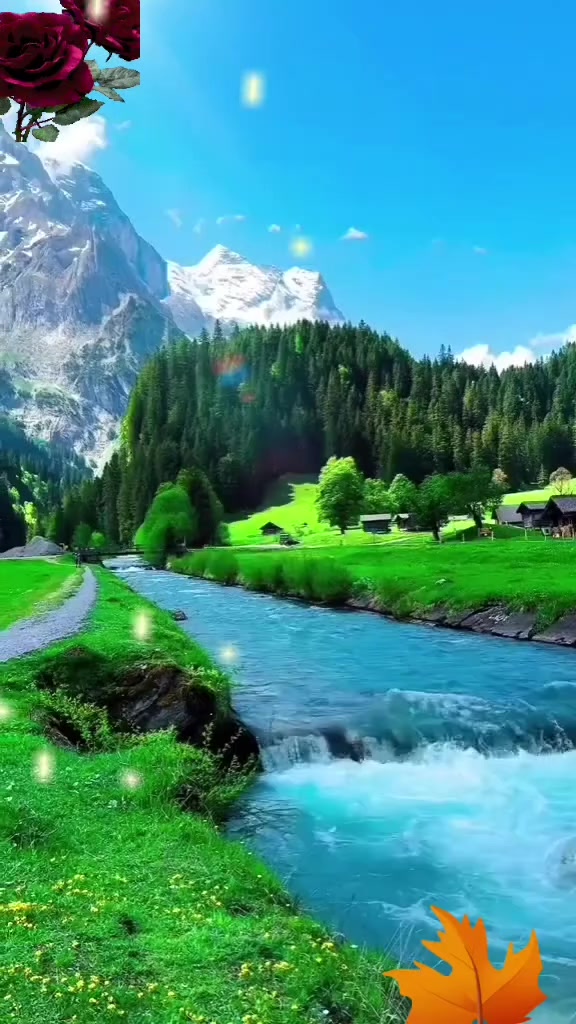 @muxtar019