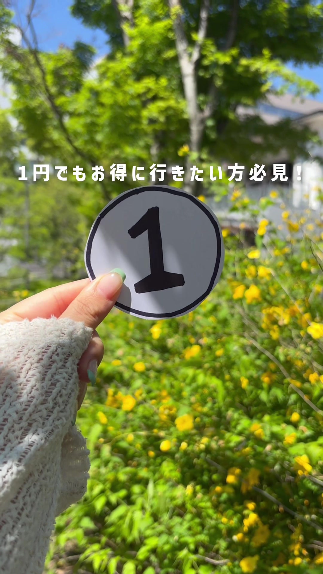 @マイルちゃん@月10万円以上旅費に使う女✈