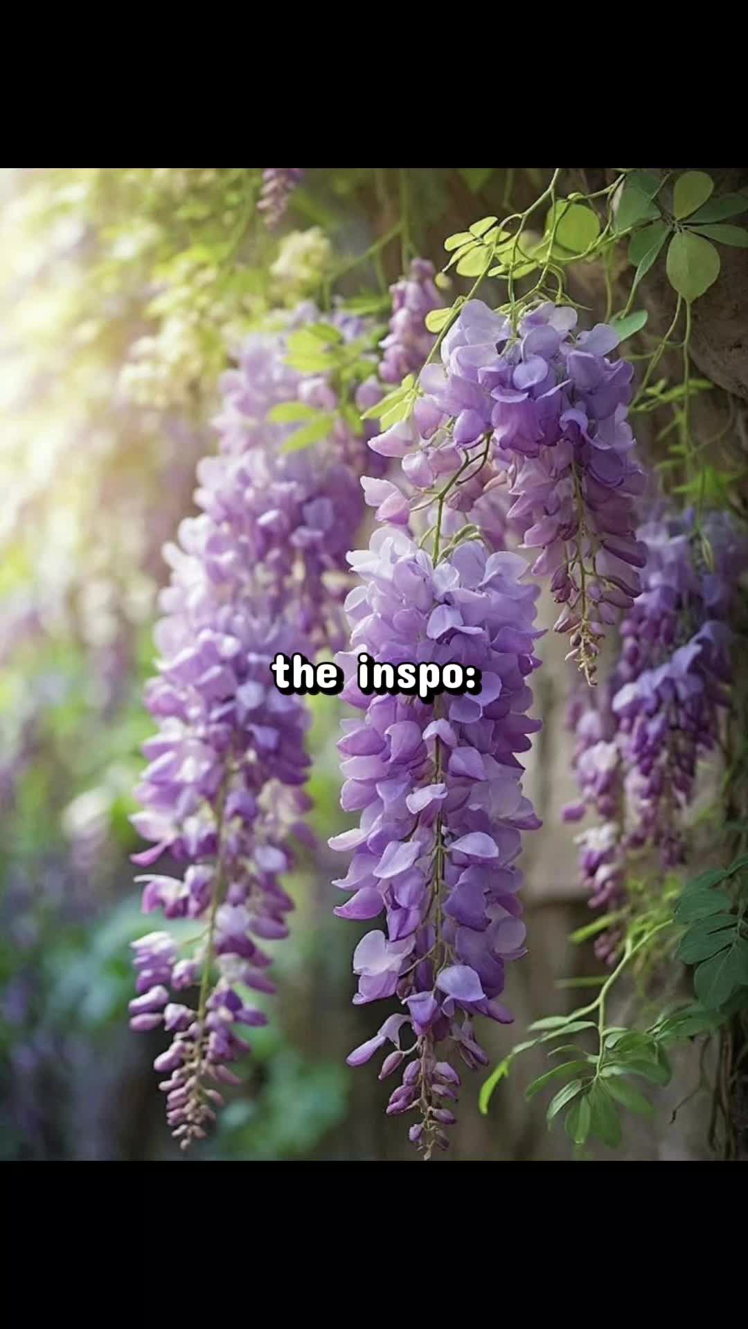 @The Sapphire Sun