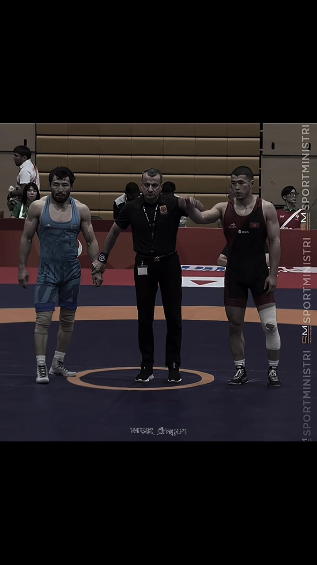 @wrest_dragon