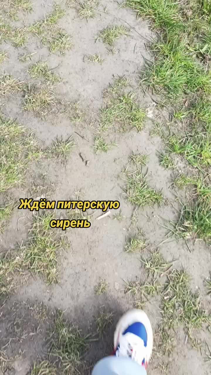 @user2278096979685