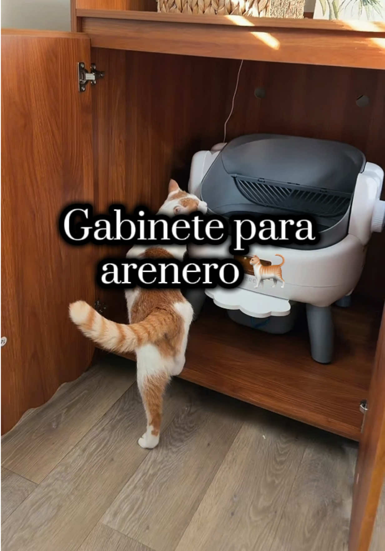 @ahorrospaopao