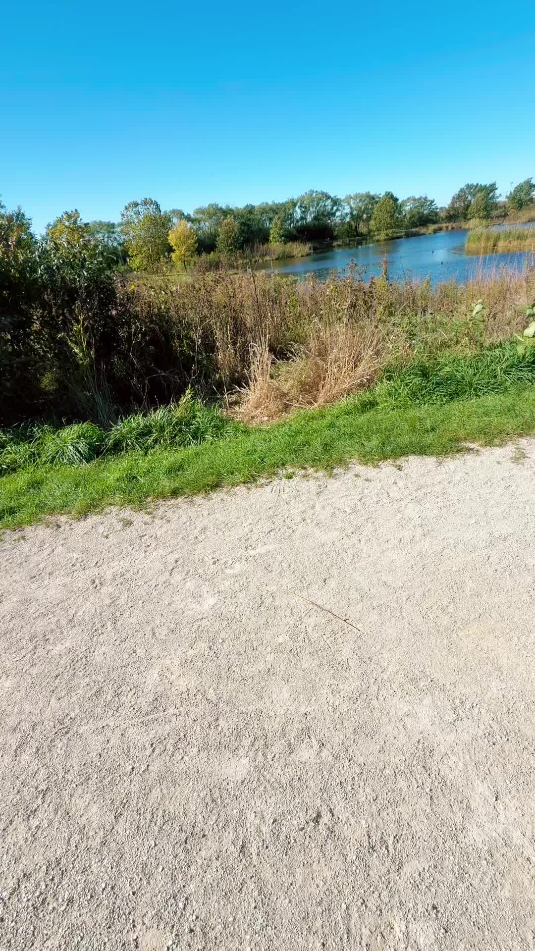 @Jünior✨