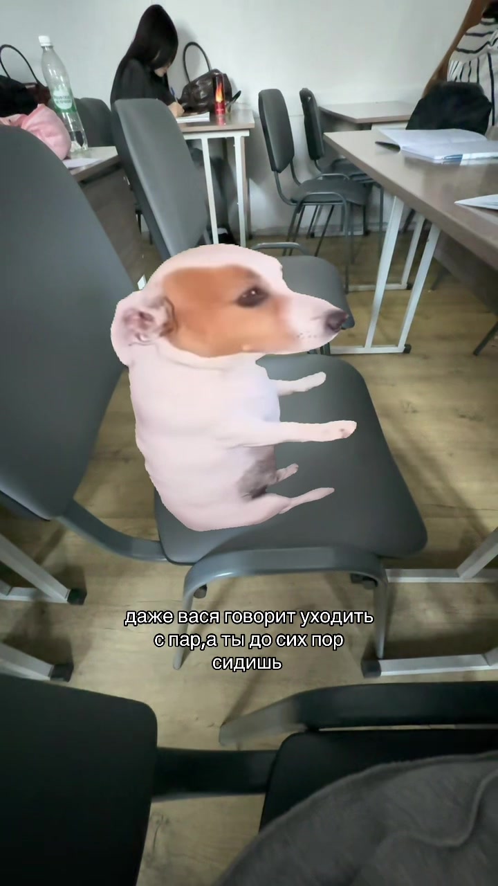 @тгк:матурка кубрик
