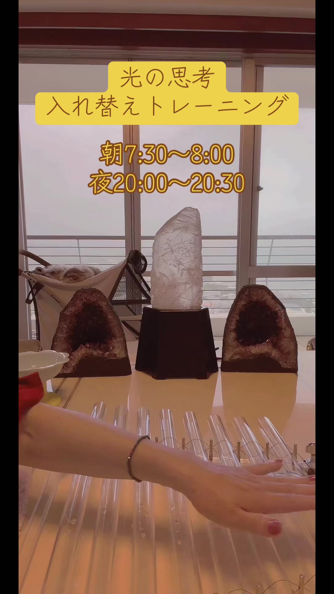 @🌈ピーター6🌈