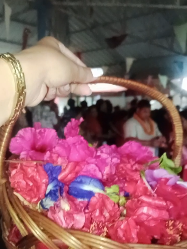 @Binita Shrestha (Nanu)🌸🦋✨❣️