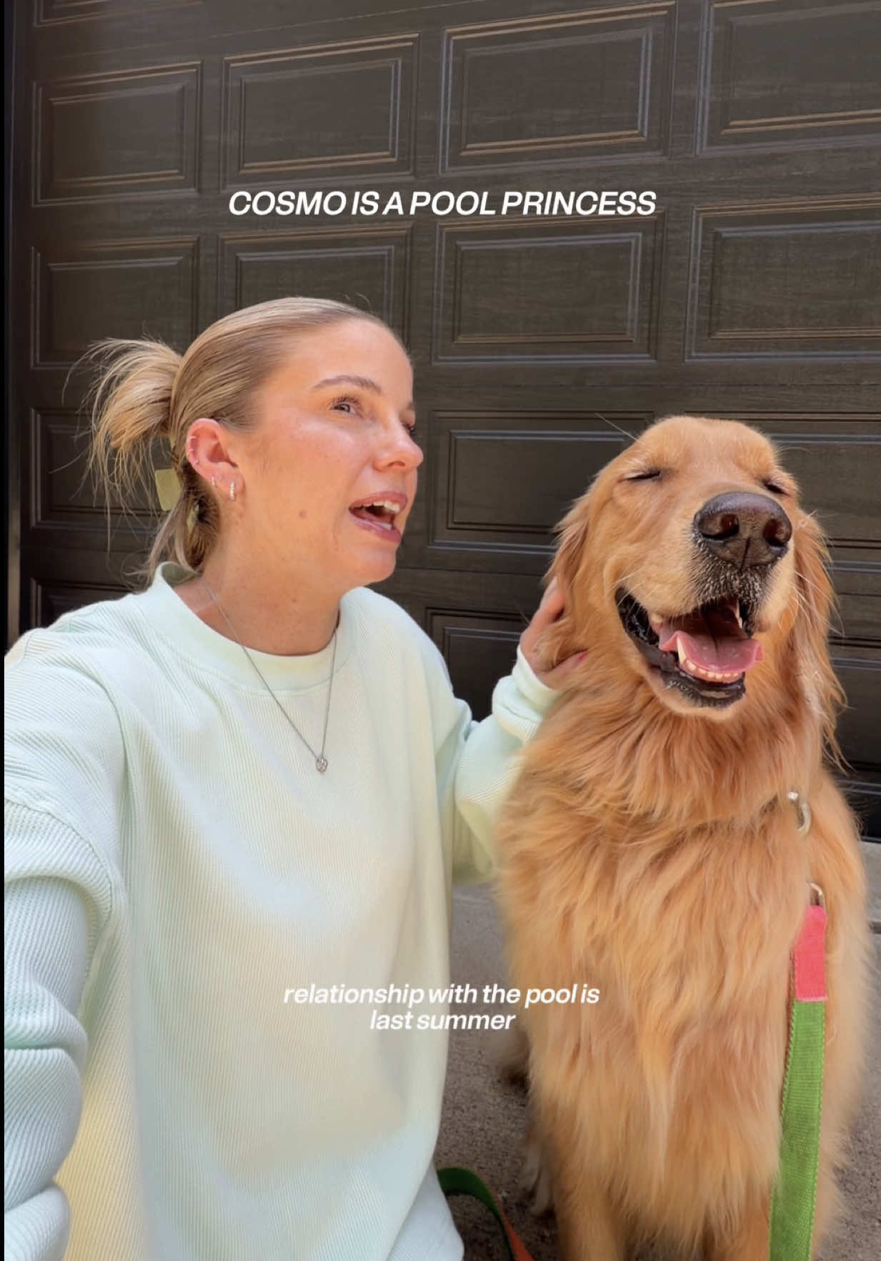 @agoldendogmom