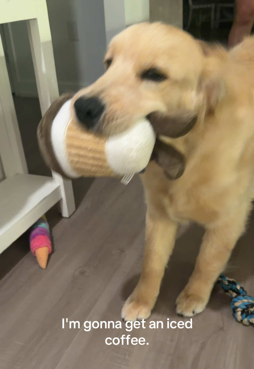 @Luca the Golden