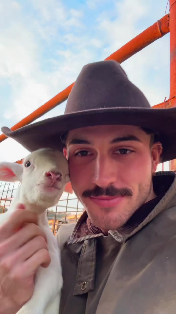 @Liam 🤠