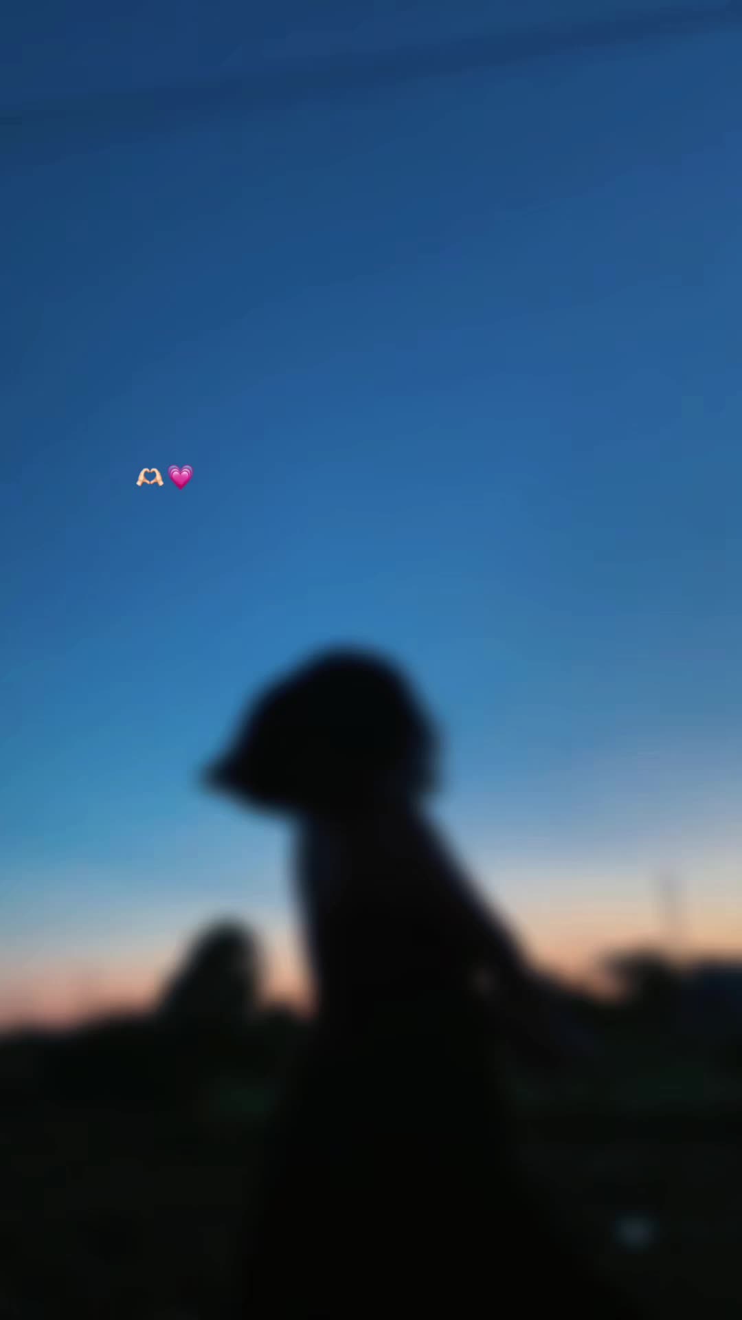 @luna10
