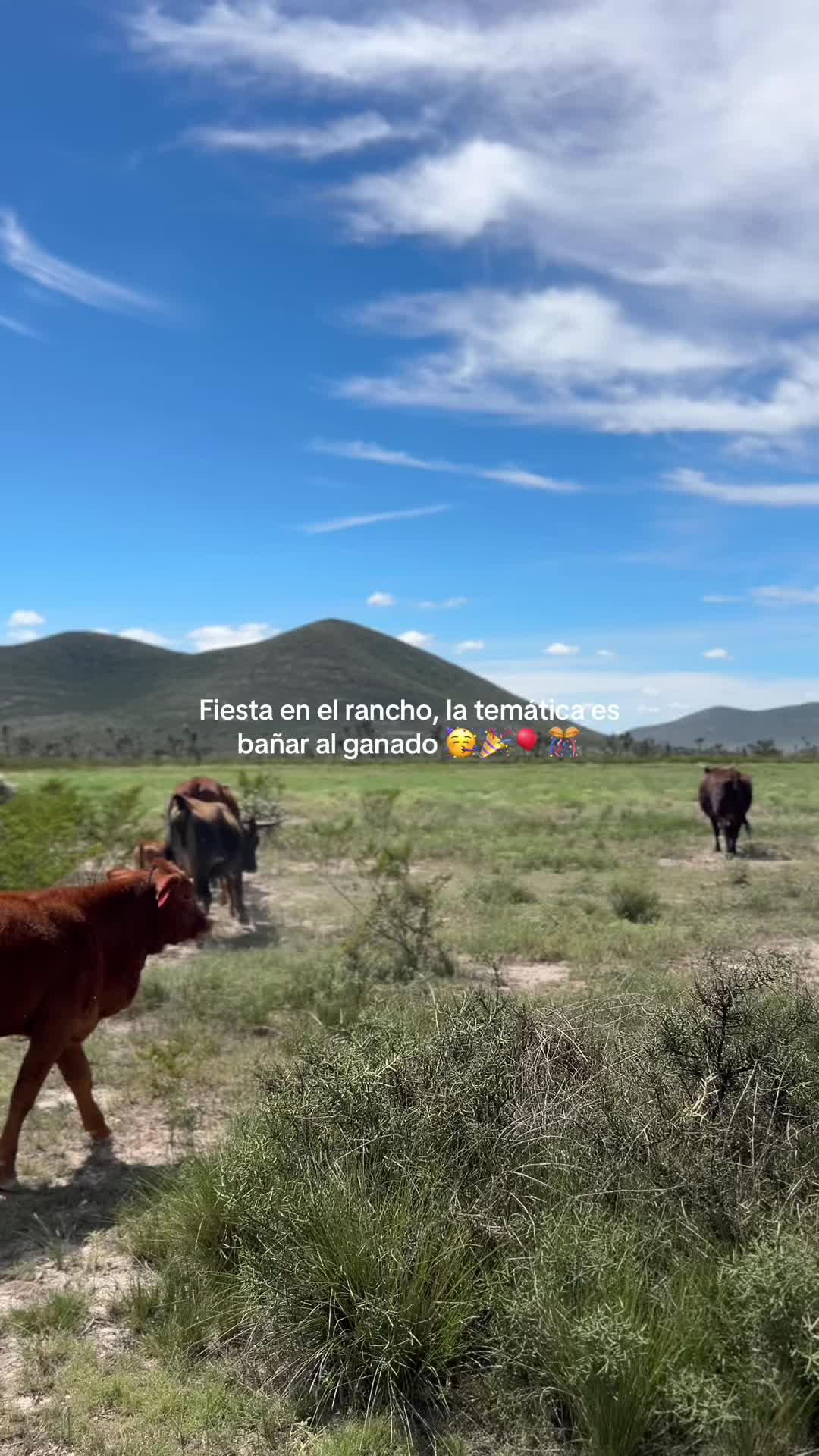 @Zariel Bracs