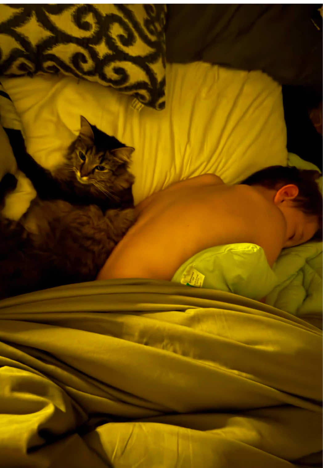 @RoxySnowballCatDrama
