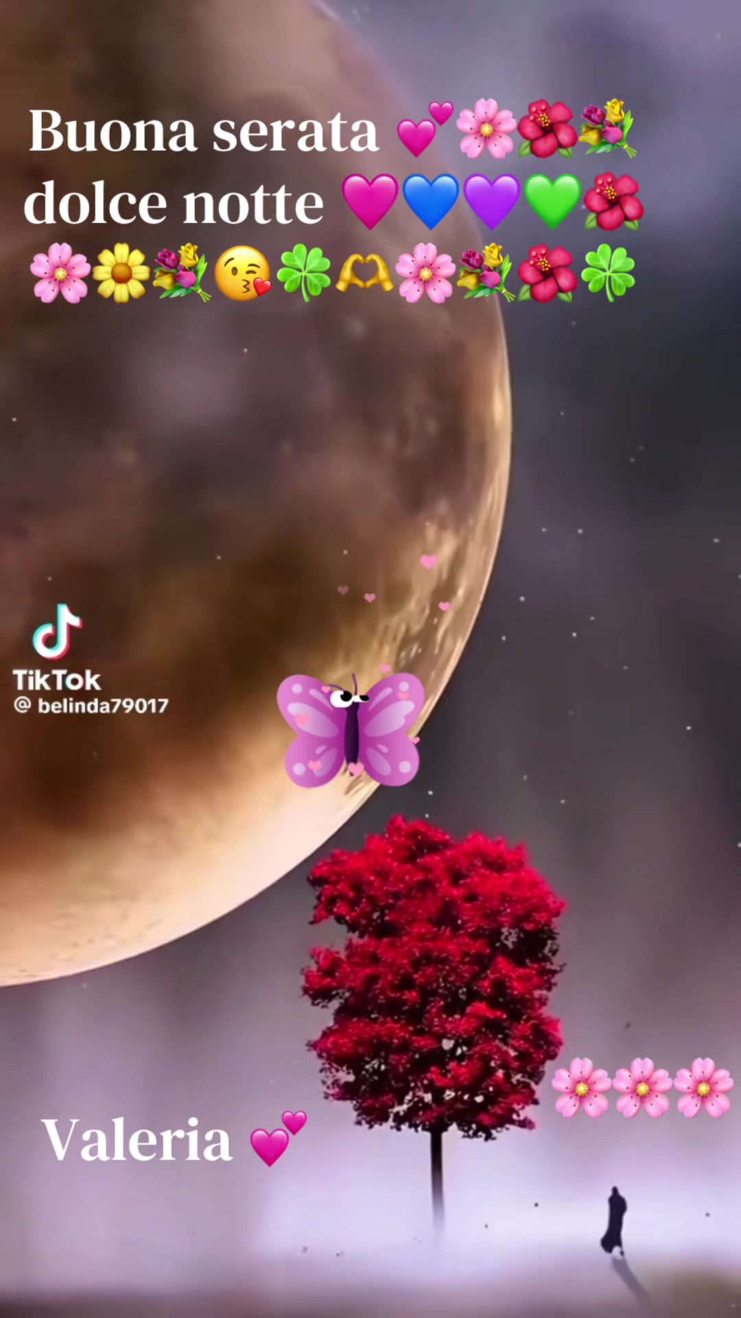 @valeriaevangelis840