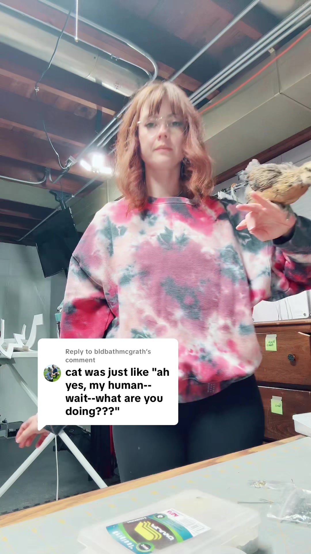 @MindyKitten