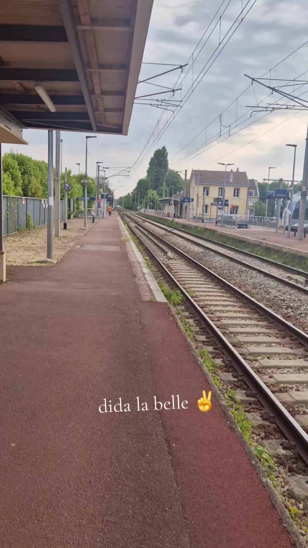 @dida  la belle
