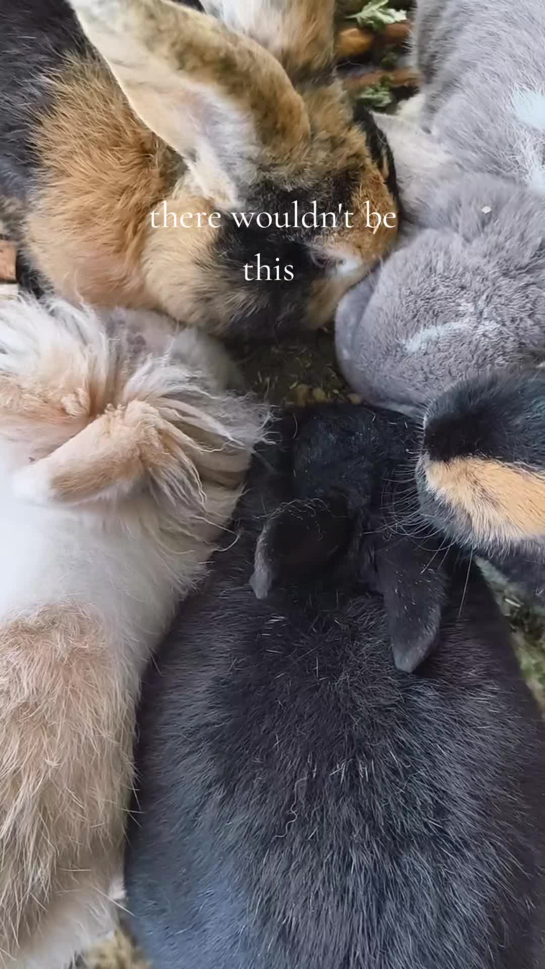 @𝙽𝚘𝚗𝚘❤︎