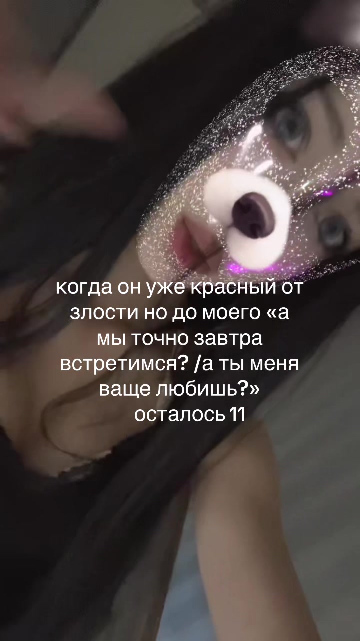 @сосна небесная