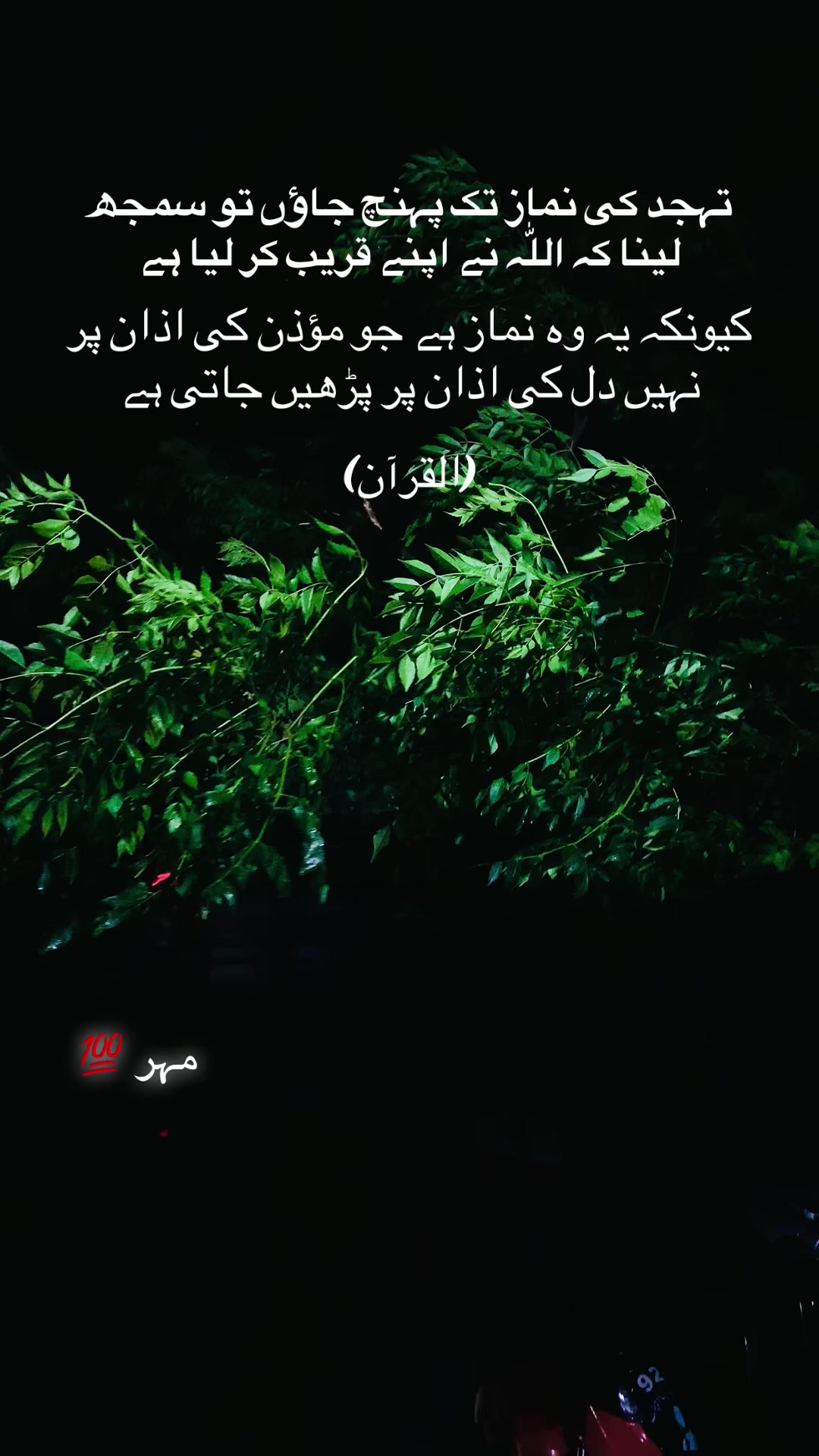 @مہر 🥀🥀🥀