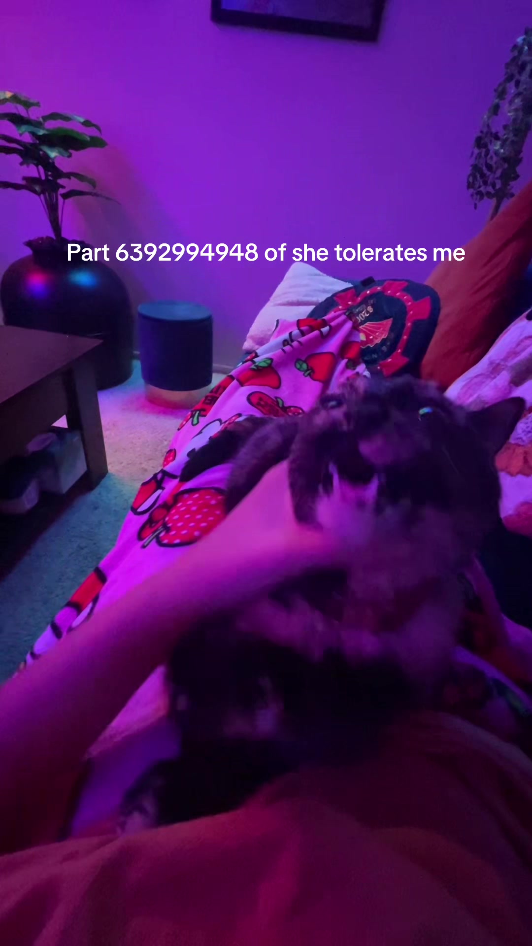 @Karina