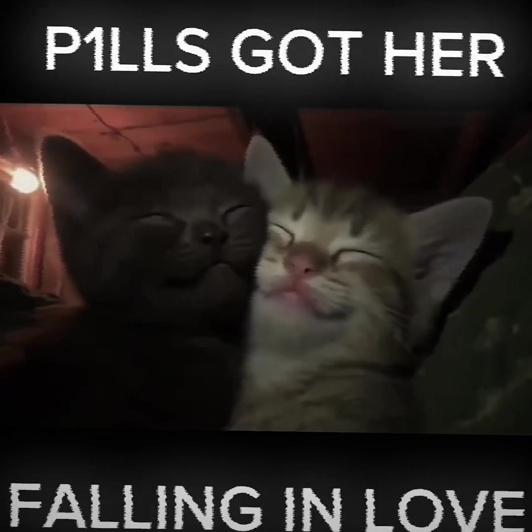@alice