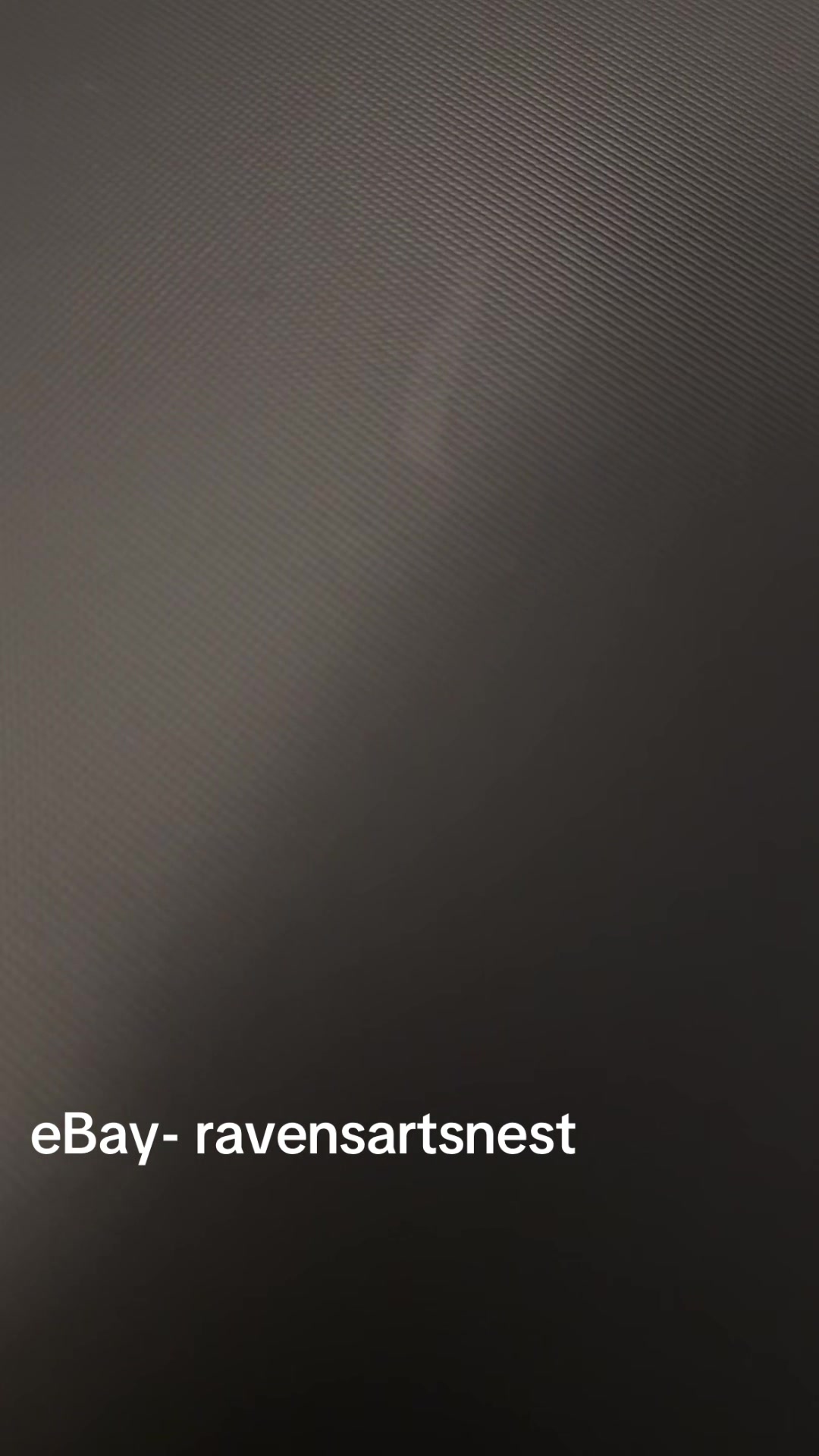 @RavensArtsNest