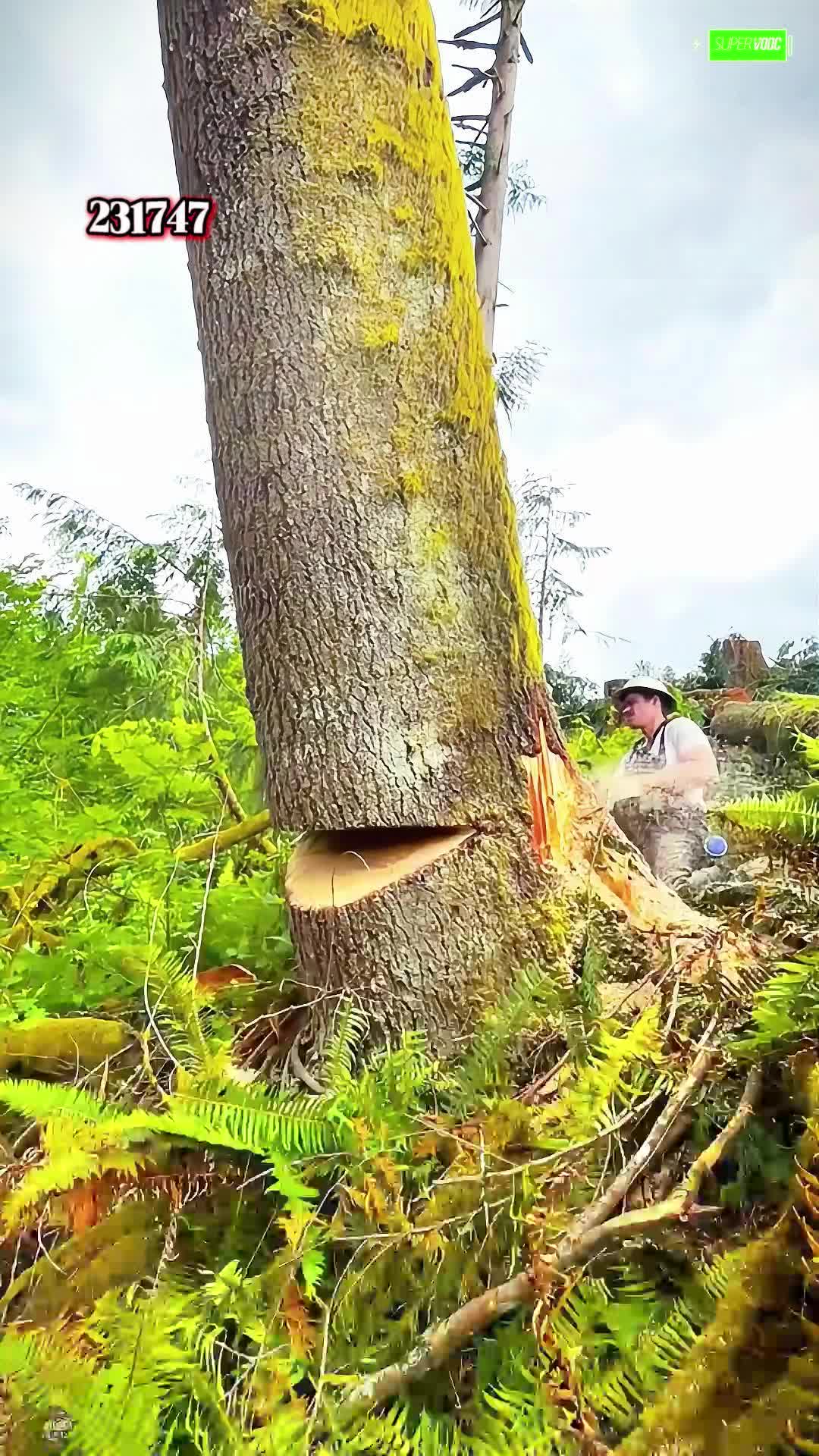 @stories.gary59
