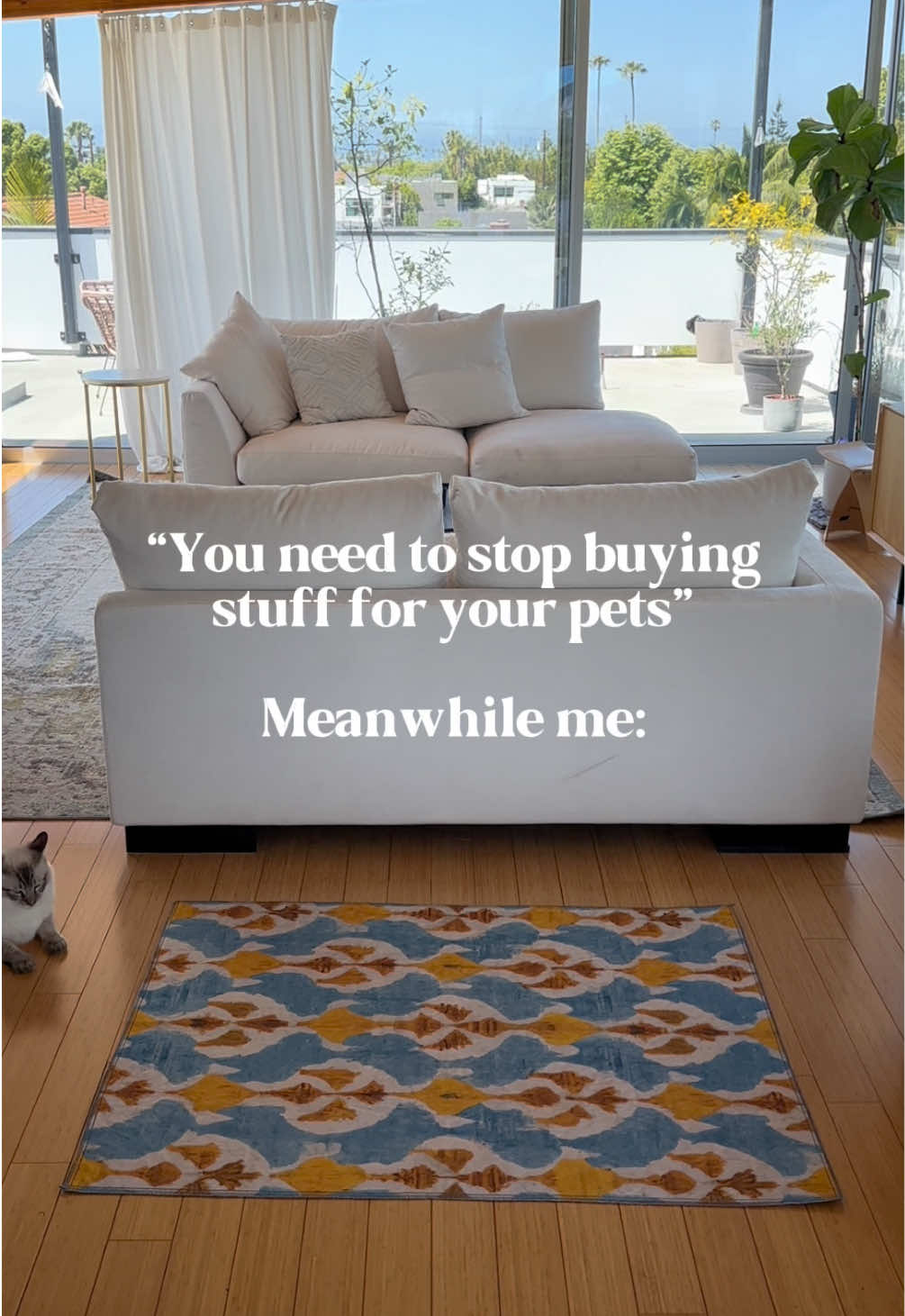 @Lovewag Pets