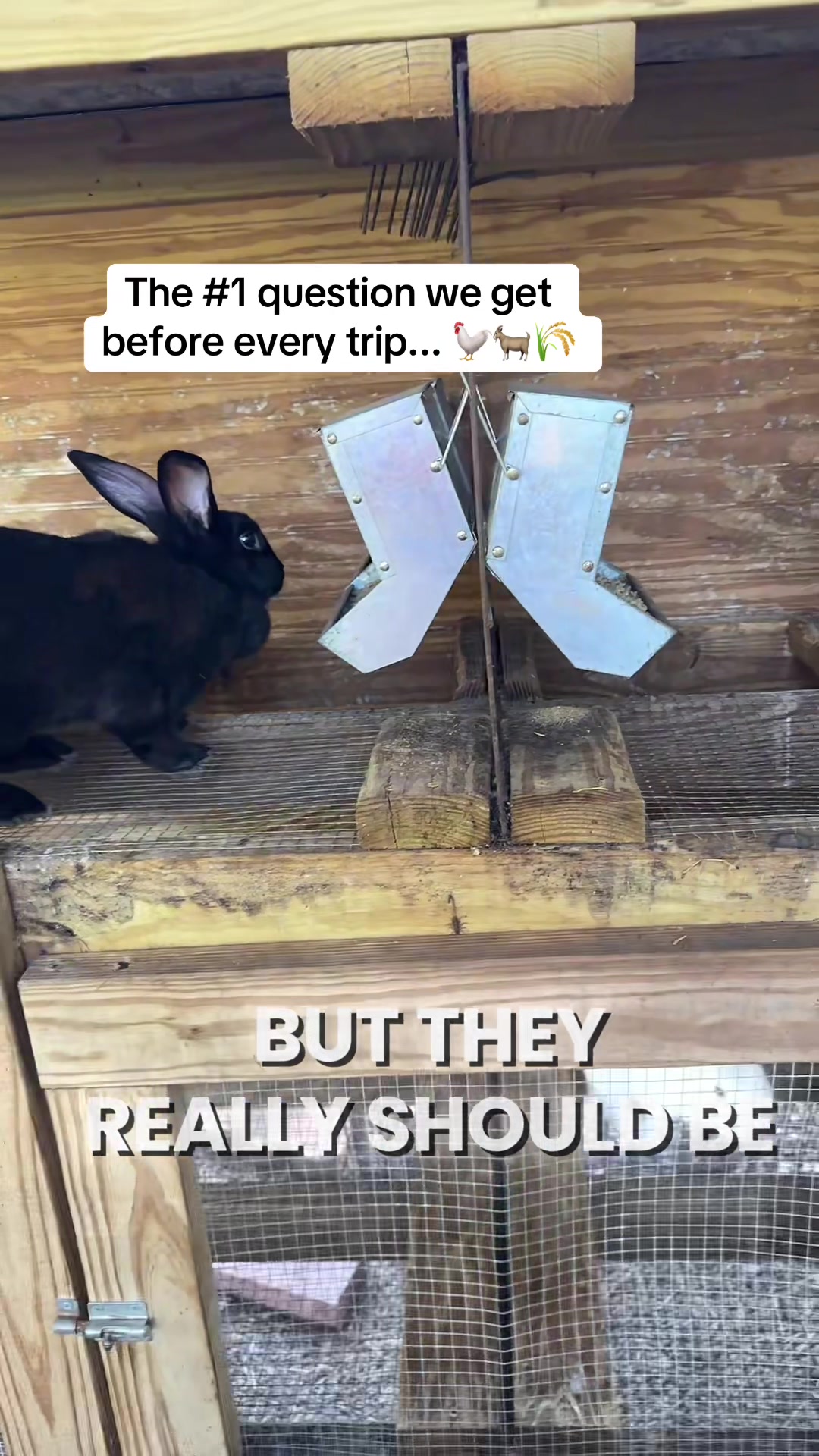 @ShadyCreekFarms