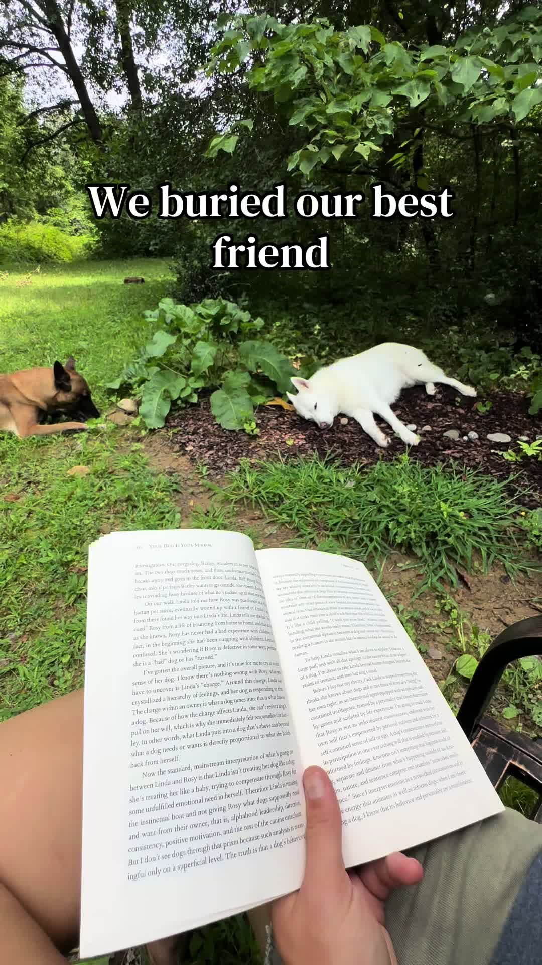 @OUTBOUNDDOGS