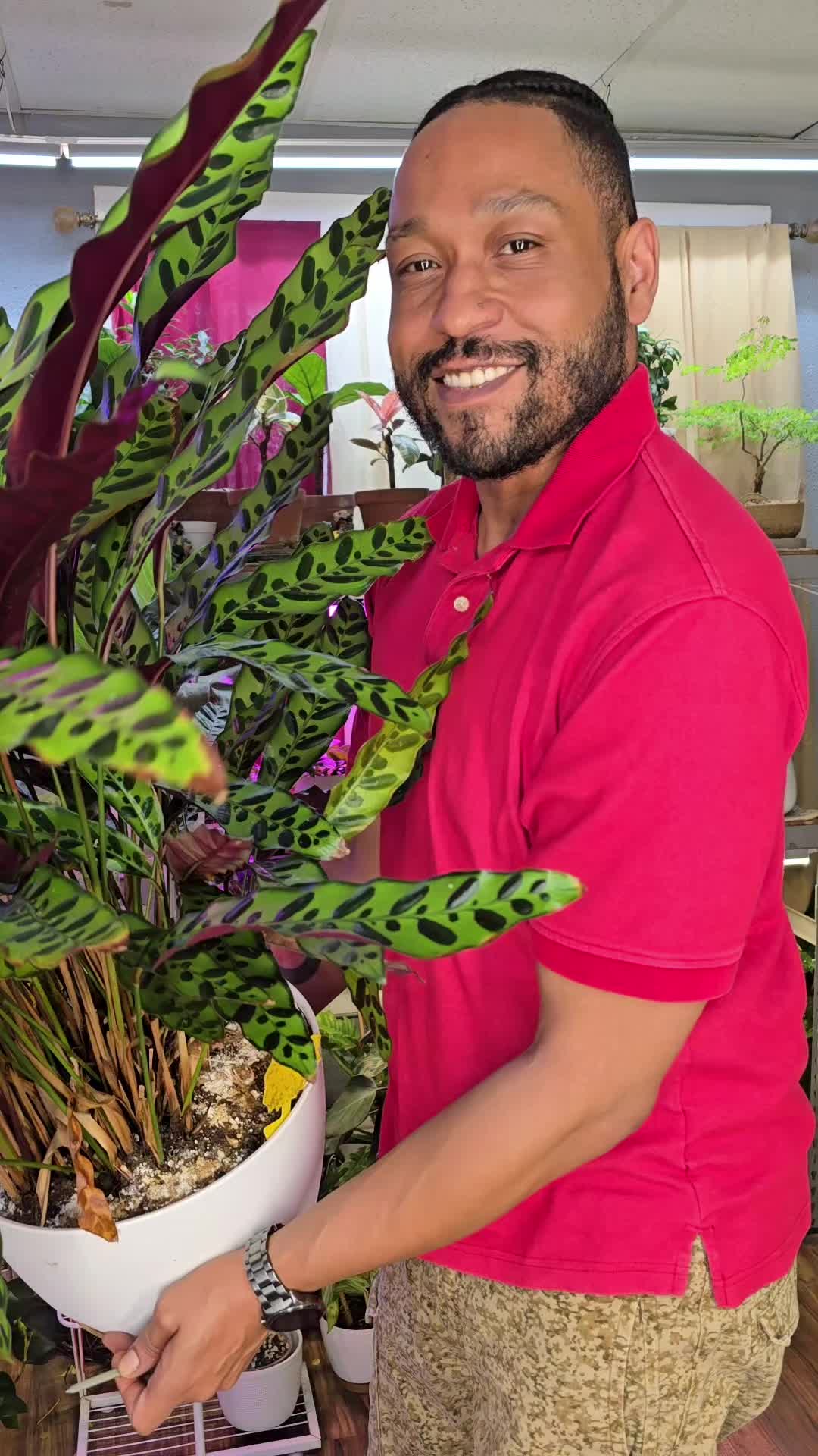 @JT - BigEGOPlants