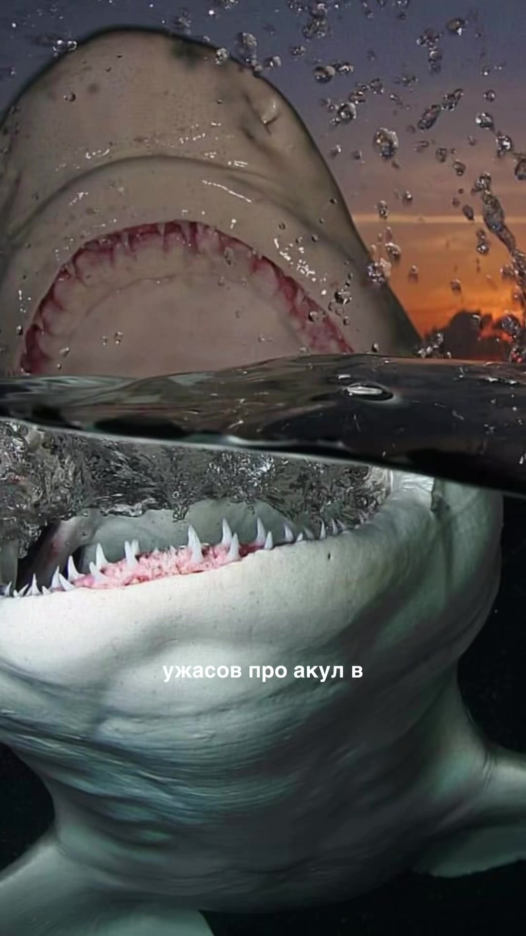 @тгк кружок всратых интересов