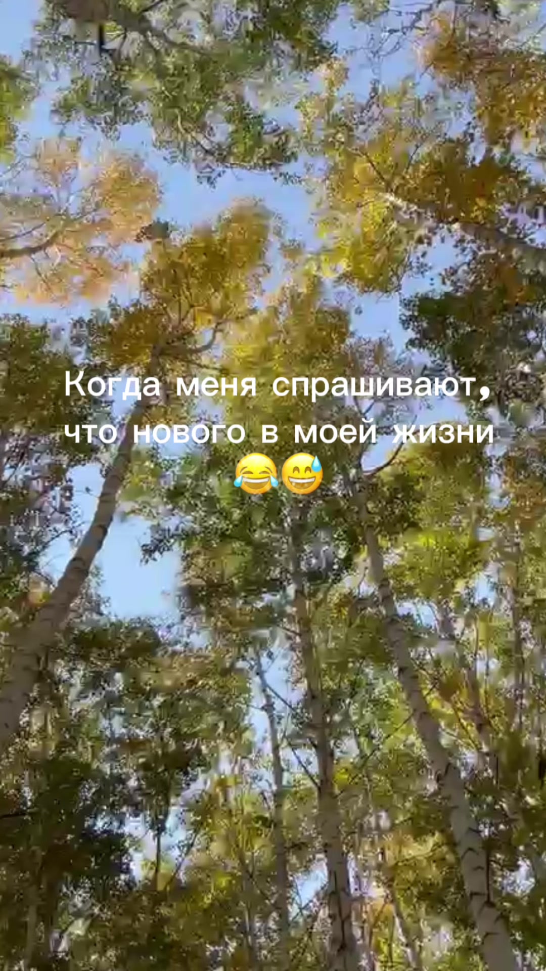 @Klara