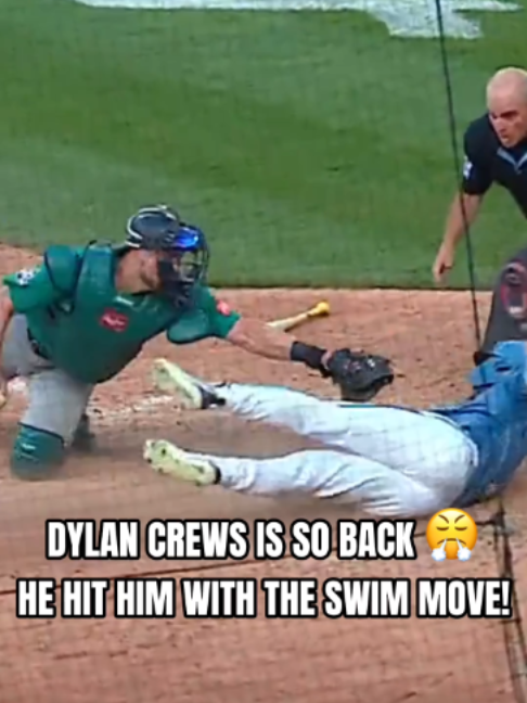 @natsfanatics