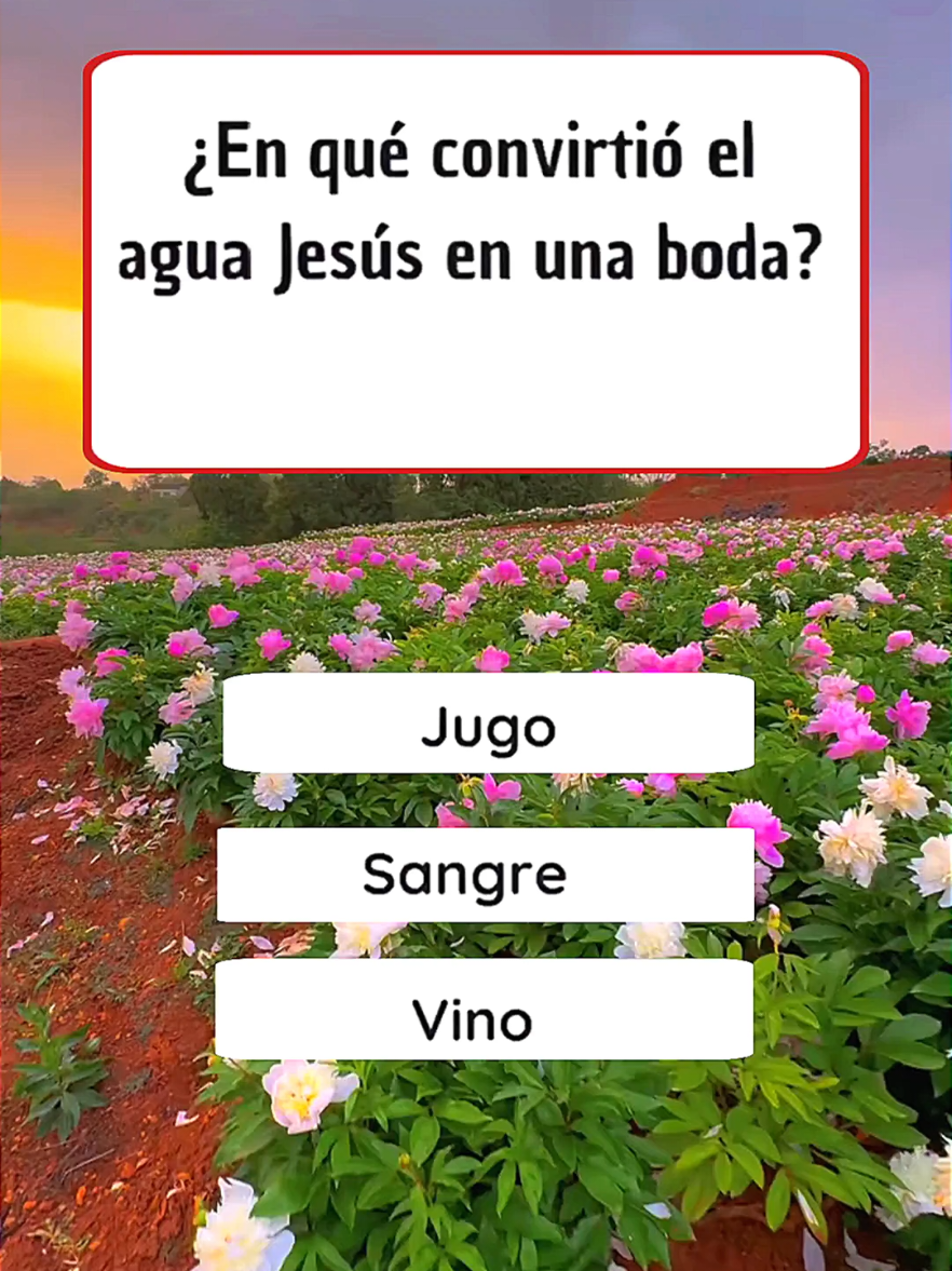 @⭐ triviador