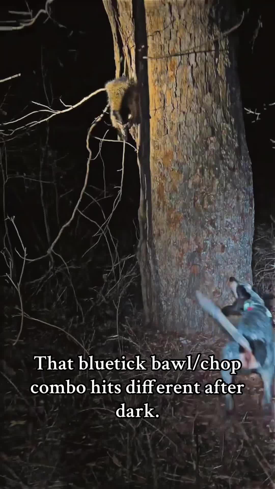 @punchy_coonhunter
