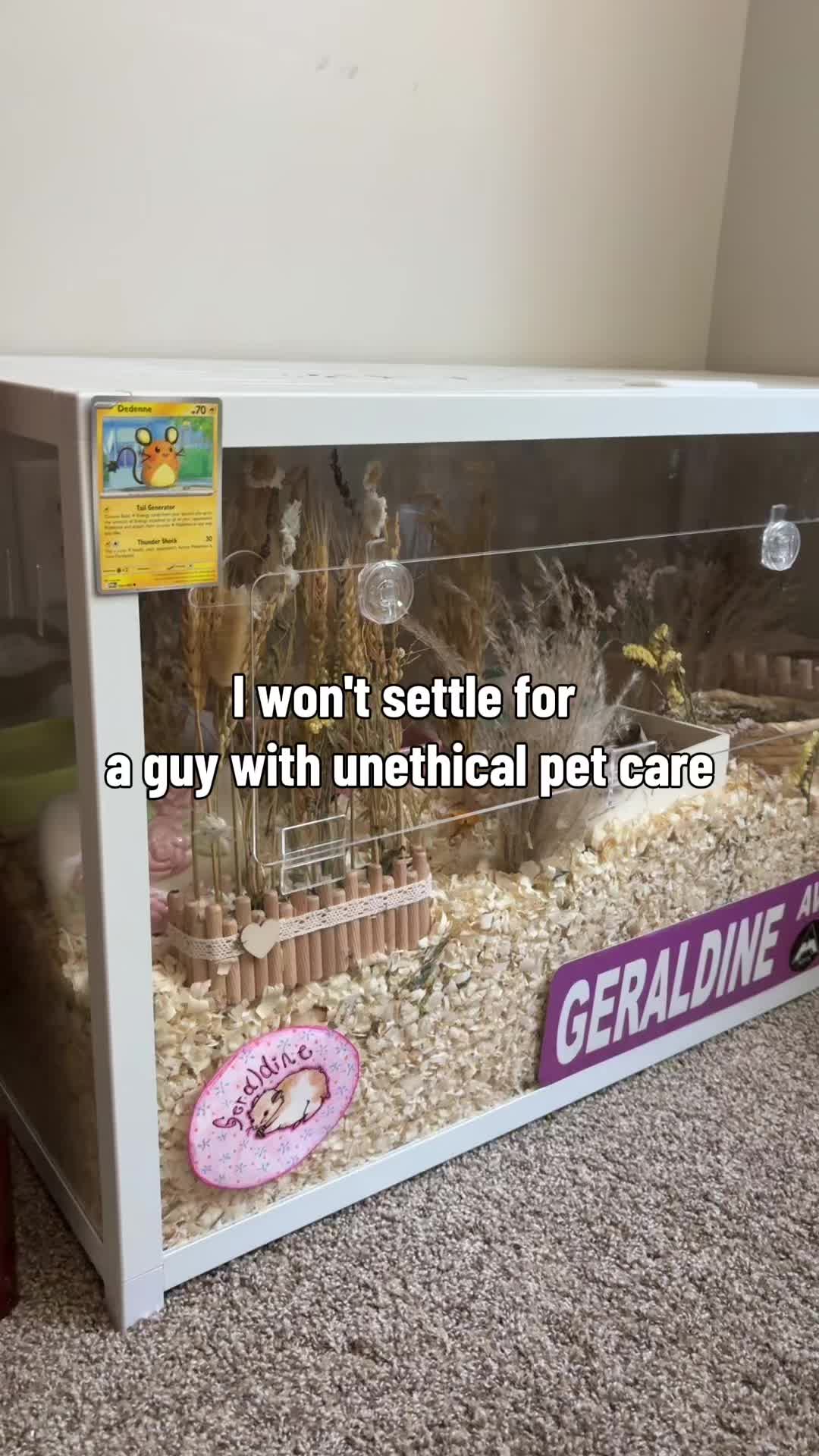@thatweirdanimalgirl